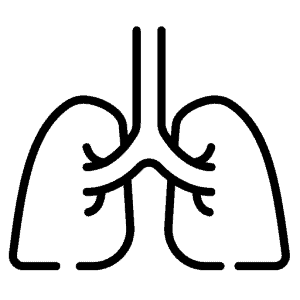 neumología